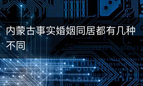 内蒙古事实婚姻同居都有几种不同
