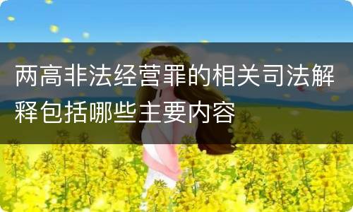 两高非法经营罪的相关司法解释包括哪些主要内容