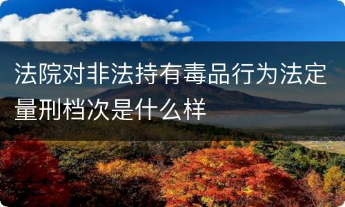 法院对非法持有毒品行为法定量刑档次是什么样