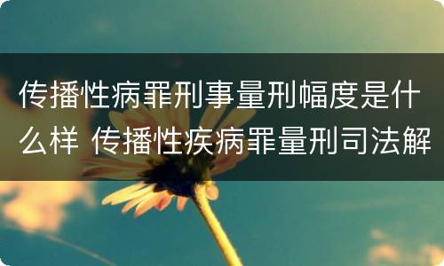 传播性病罪刑事量刑幅度是什么样 传播性疾病罪量刑司法解释