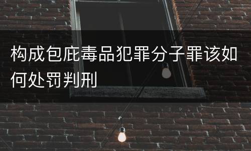 构成包庇毒品犯罪分子罪该如何处罚判刑