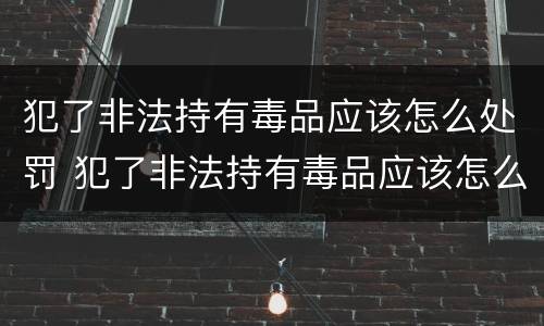犯了非法持有毒品应该怎么处罚 犯了非法持有毒品应该怎么处罚呢