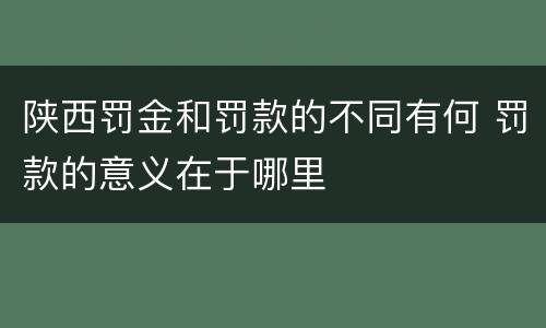 陕西罚金和罚款的不同有何 罚款的意义在于哪里