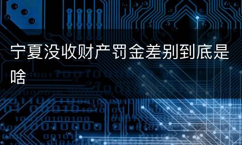 宁夏没收财产罚金差别到底是啥