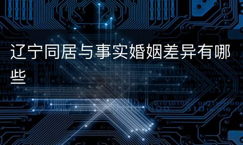 辽宁同居与事实婚姻差异有哪些