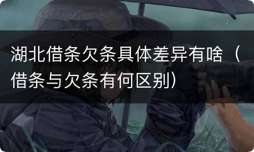 湖北借条欠条具体差异有啥（借条与欠条有何区别）