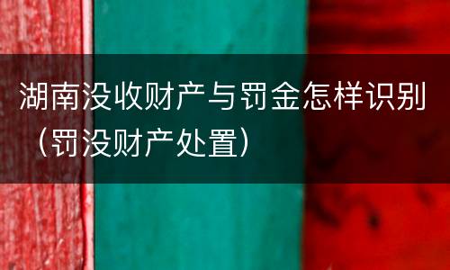 湖南没收财产与罚金怎样识别（罚没财产处置）