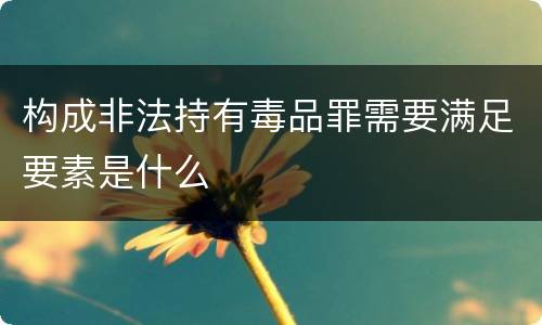 构成非法持有毒品罪需要满足要素是什么