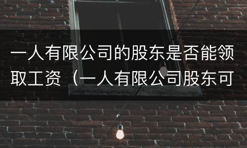 一人有限公司的股东是否能领取工资（一人有限公司股东可以是企业吗）