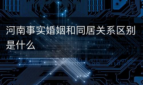 河南事实婚姻和同居关系区别是什么