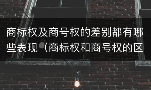 商标权及商号权的差别都有哪些表现（商标权和商号权的区别）