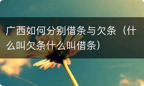广西如何分别借条与欠条（什么叫欠条什么叫借条）