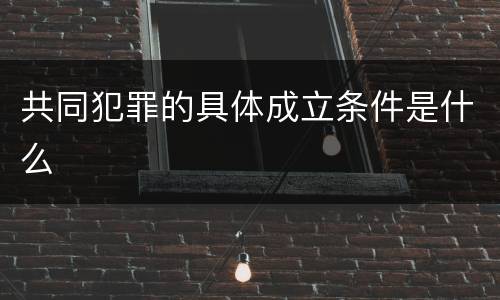 共同犯罪的具体成立条件是什么