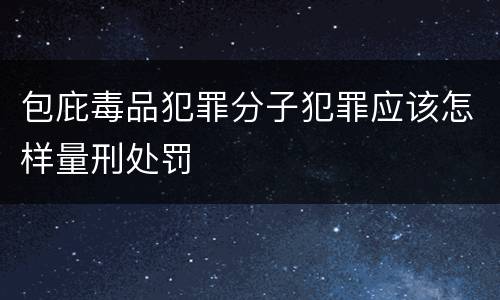 包庇毒品犯罪分子犯罪应该怎样量刑处罚