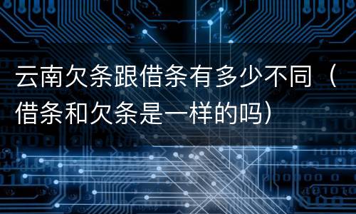 云南欠条跟借条有多少不同（借条和欠条是一样的吗）
