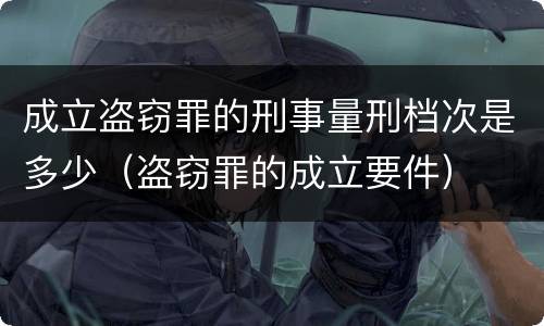 成立盗窃罪的刑事量刑档次是多少（盗窃罪的成立要件）