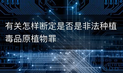 有关怎样断定是否是非法种植毒品原植物罪