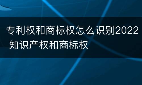专利权和商标权怎么识别2022 知识产权和商标权