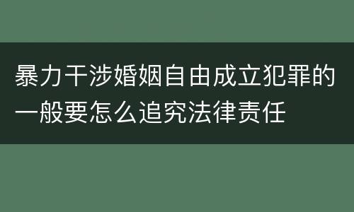 暴力干涉婚姻自由成立犯罪的一般要怎么追究法律责任