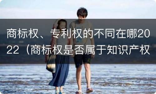 商标权、专利权的不同在哪2022（商标权是否属于知识产权）