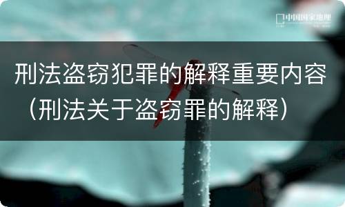 刑法盗窃犯罪的解释重要内容（刑法关于盗窃罪的解释）