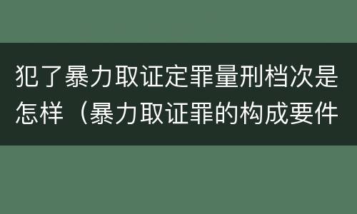 犯了暴力取证定罪量刑档次是怎样（暴力取证罪的构成要件）