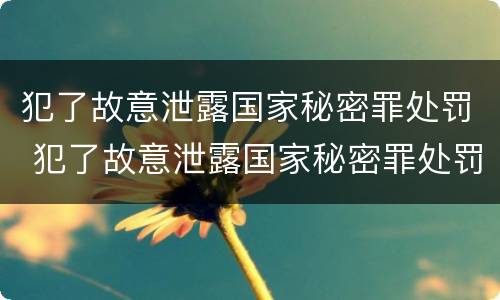犯了故意泄露国家秘密罪处罚 犯了故意泄露国家秘密罪处罚金额