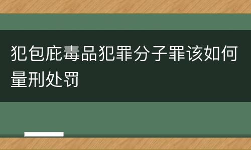 犯包庇毒品犯罪分子罪该如何量刑处罚