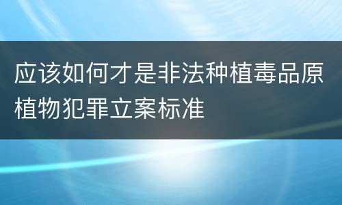 应该如何才是非法种植毒品原植物犯罪立案标准