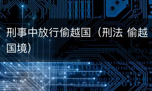 刑事中放行偷越国（刑法 偷越国境）