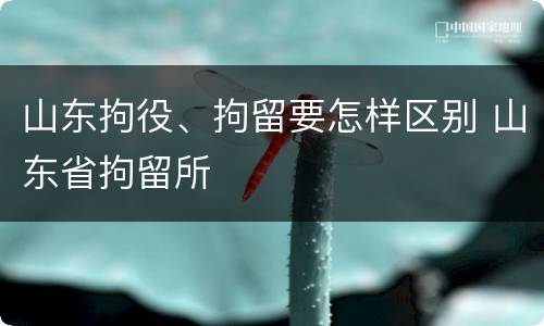 山东拘役、拘留要怎样区别 山东省拘留所