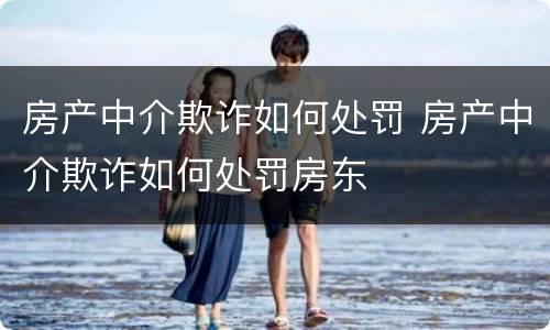 房产中介欺诈如何处罚 房产中介欺诈如何处罚房东
