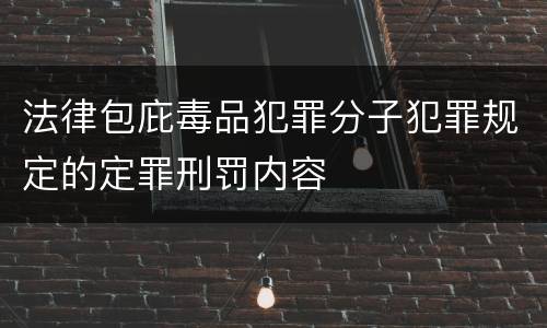 法律包庇毒品犯罪分子犯罪规定的定罪刑罚内容