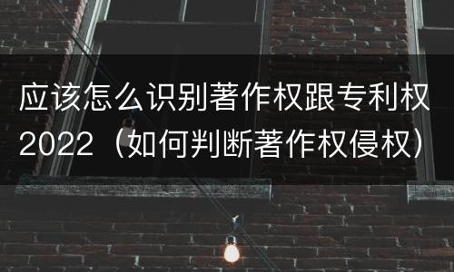 应该怎么识别著作权跟专利权2022（如何判断著作权侵权）