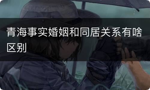 青海事实婚姻和同居关系有啥区别
