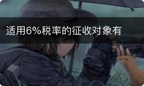 适用6%税率的征收对象有