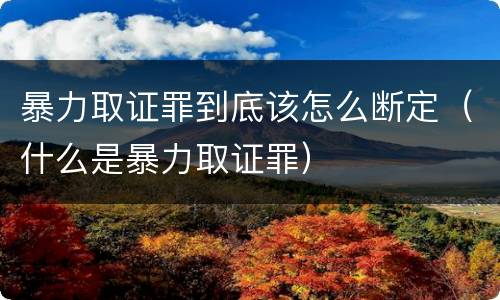 暴力取证罪到底该怎么断定（什么是暴力取证罪）