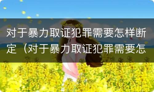对于暴力取证犯罪需要怎样断定（对于暴力取证犯罪需要怎样断定罪名）