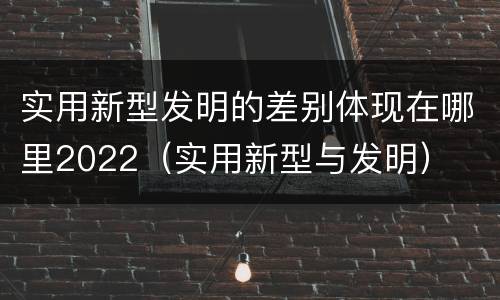 实用新型发明的差别体现在哪里2022（实用新型与发明）