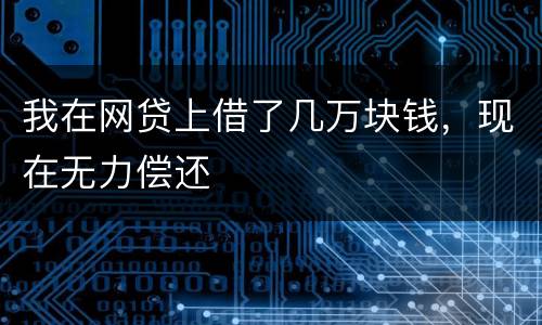 我在网贷上借了几万块钱，现在无力偿还