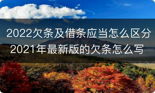 2022欠条及借条应当怎么区分 2021年最新版的欠条怎么写