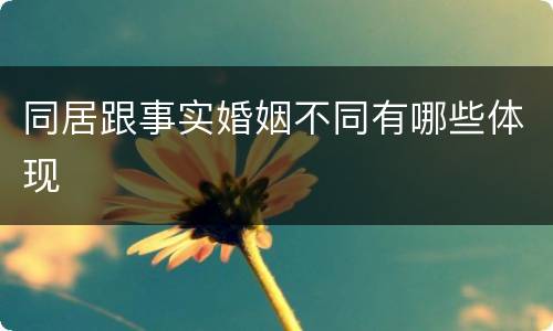 同居跟事实婚姻不同有哪些体现