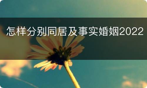 怎样分别同居及事实婚姻2022