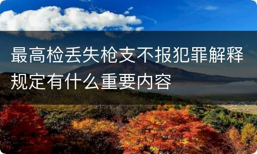 最高检丢失枪支不报犯罪解释规定有什么重要内容