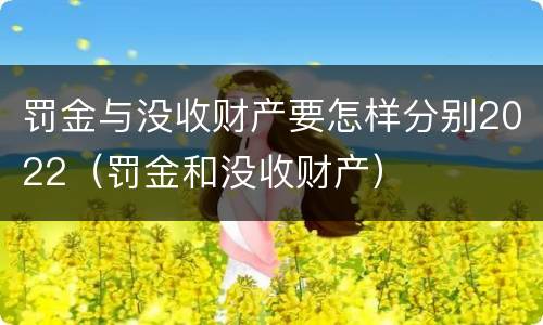 罚金与没收财产要怎样分别2022（罚金和没收财产）