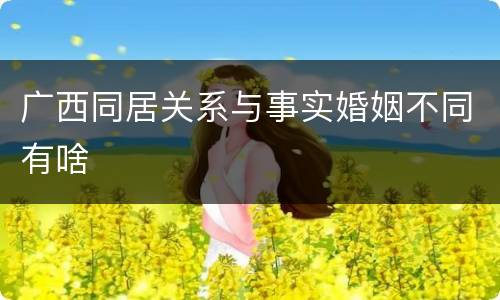 广西同居关系与事实婚姻不同有啥