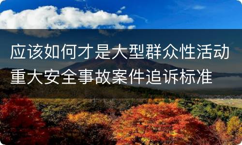 应该如何才是大型群众性活动重大安全事故案件追诉标准