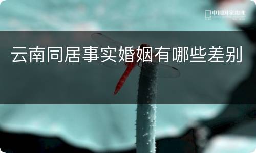 云南同居事实婚姻有哪些差别