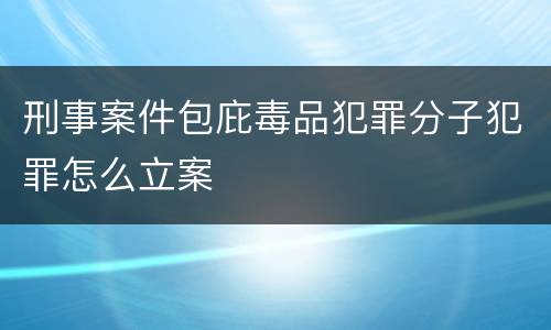刑事案件包庇毒品犯罪分子犯罪怎么立案
