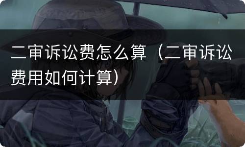 二审诉讼费怎么算（二审诉讼费用如何计算）